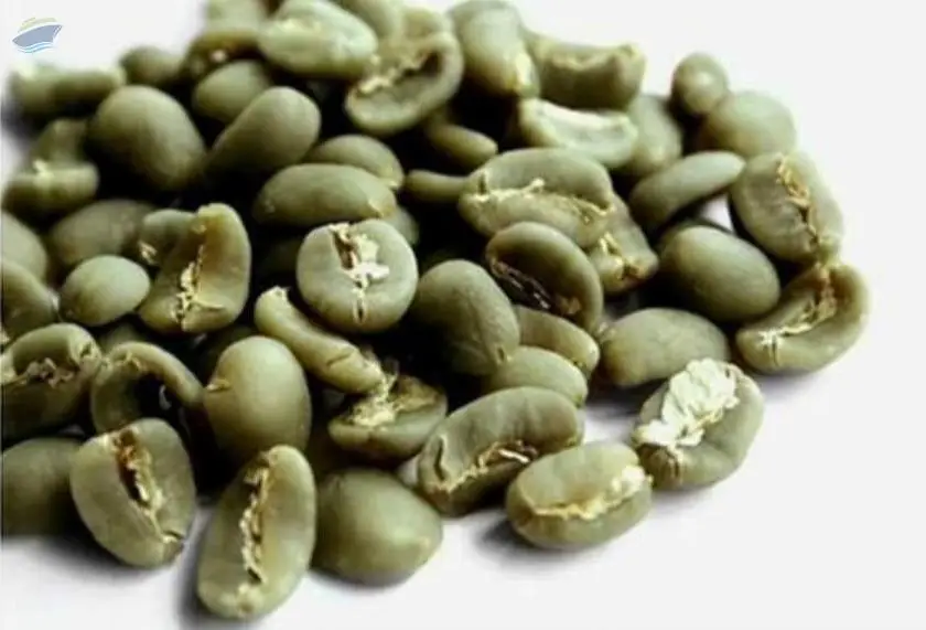 High Quality Green Arabica Coffee Bean