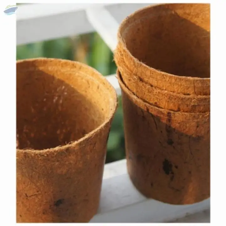 Coconut Coir Pot