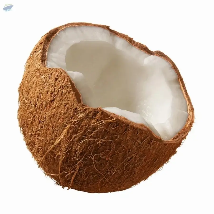 Fresh Mature Coconut