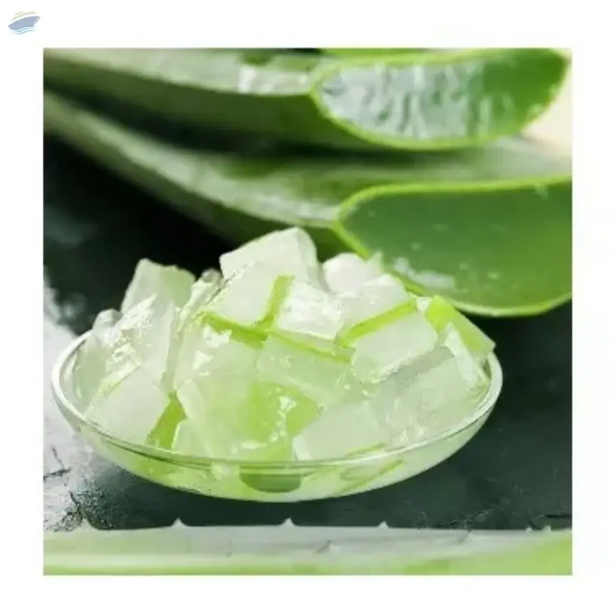 Fresh Aloe Vera
