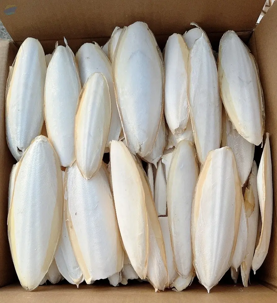 Animal Feed Dried Cuttlefish Bone From Vietnam