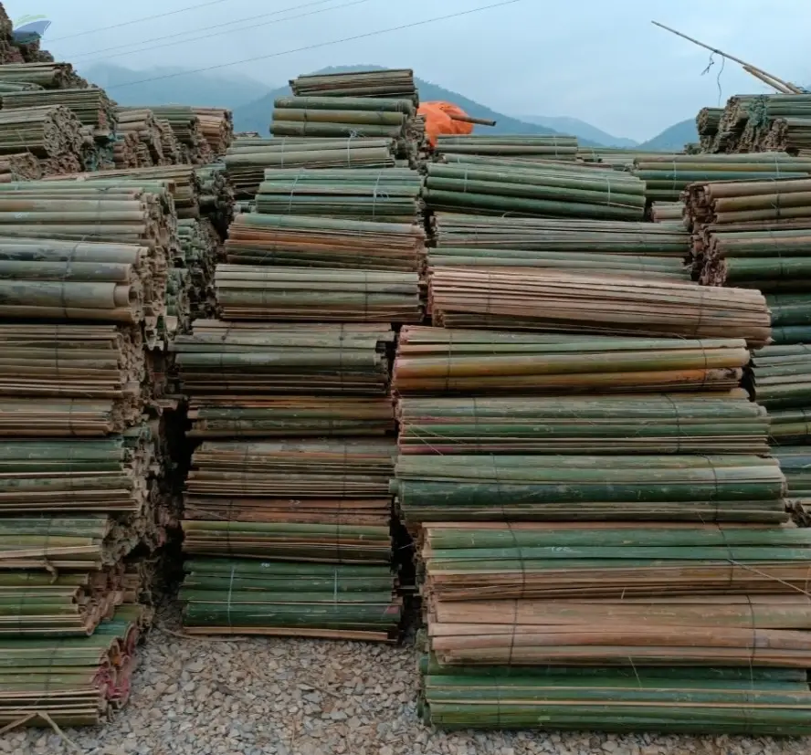 Bamboo Splitted by 99 Gold Data Processing Trading Company Limited