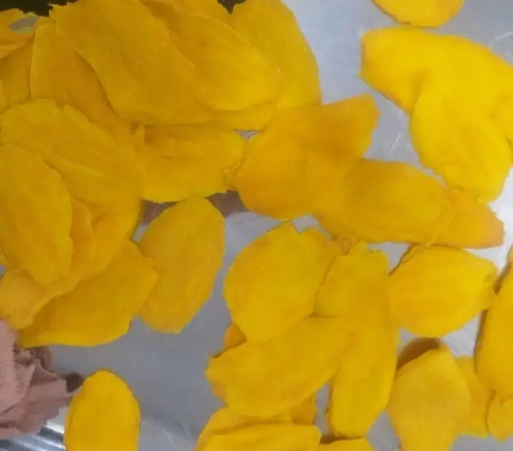 Soft Dried Mango Slices