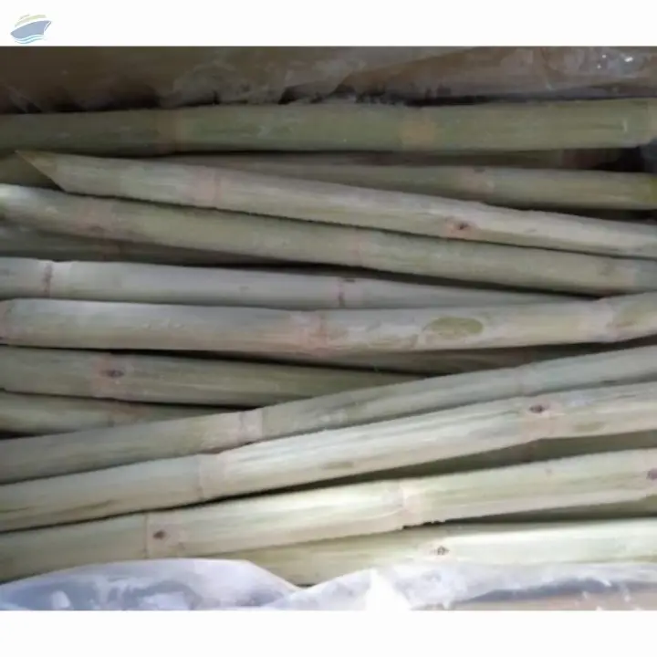 Frozen Sugarcane Sticks