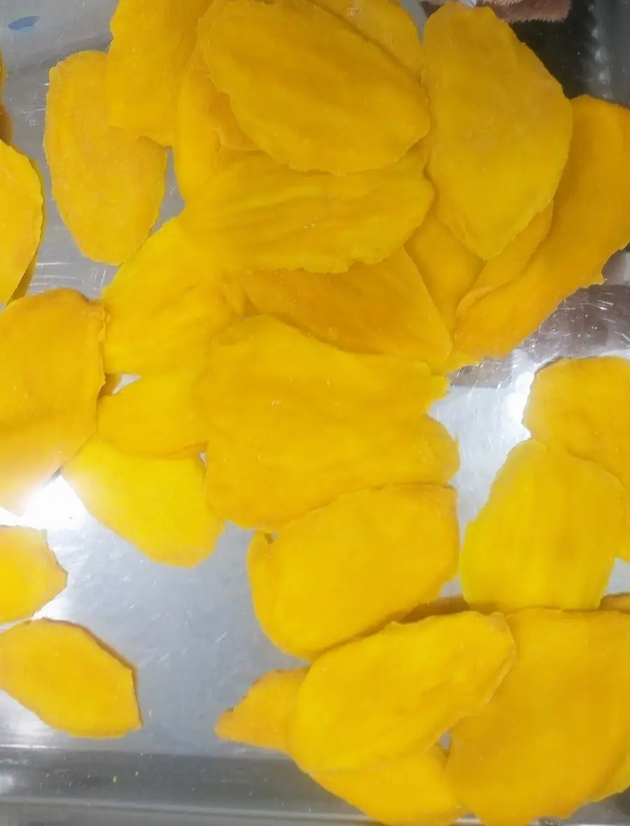 High Quality Dried Mango Snack