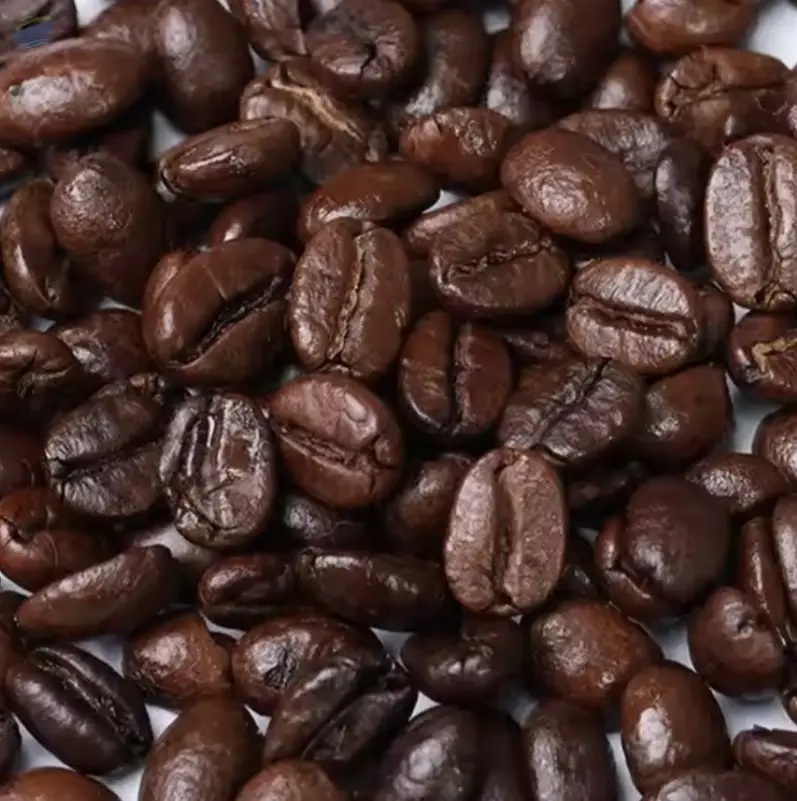 Coffee Beans High Quality Robusta and Arabica