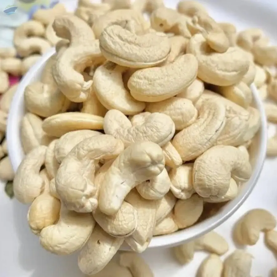 Fresh / Raw/white Cashew W180 /  W210