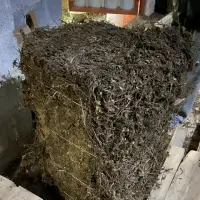 Vietnam Dried Grass Jelly