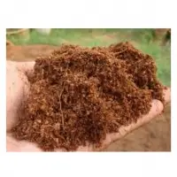 Viet Nam Cocopeat As a Horticultural Substrate