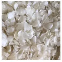 Hot Selling Dried Fish Scale