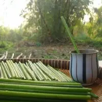 Drinking Grass Straw Eco Friendly by 99 Gold Data Processing Trading Company Limited