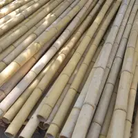 Raw Bamboo Pole by 99 Gold Data Processing Trading Company Limited
