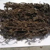 Dried Grass Jelly Leaves At Best Price