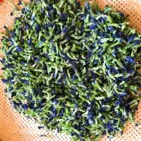 Dried Butterfly Pea Flower Tea (pita)