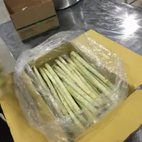 Raw Fresh Sugarcane