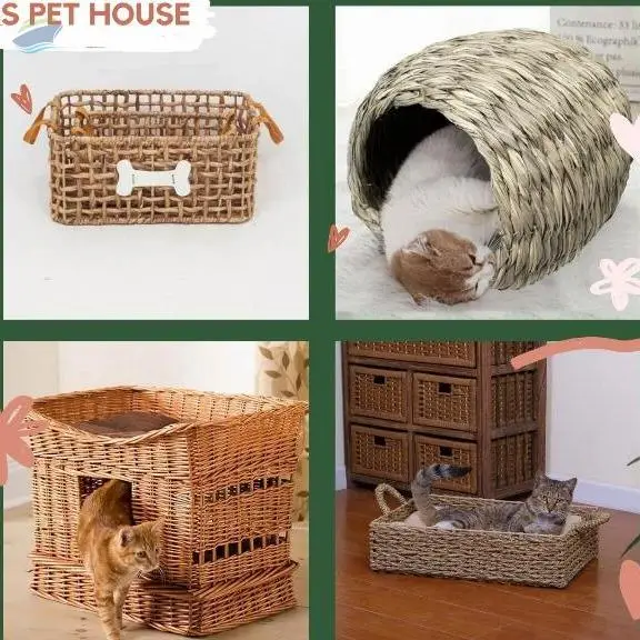Seagrass Pet House From 99 Gold Data