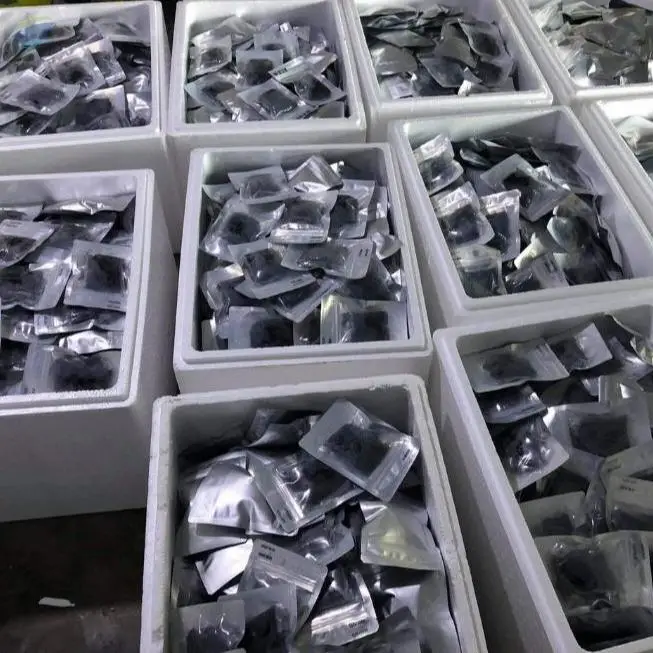 Dried Seagrapes by 99 Gold Data Processing Trading Company Limited