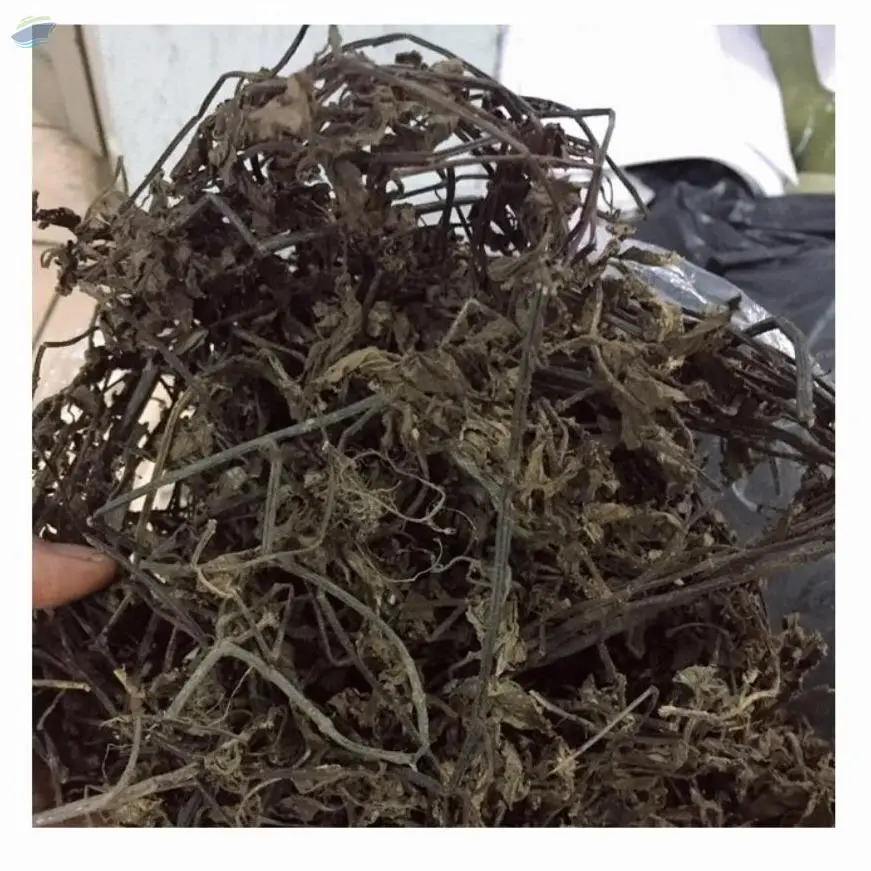 Dried Jelly Grass Leaves