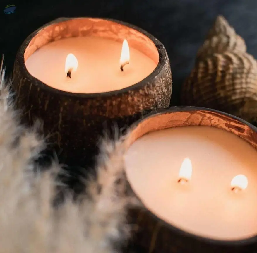 Coconut Shell Candle Best Price