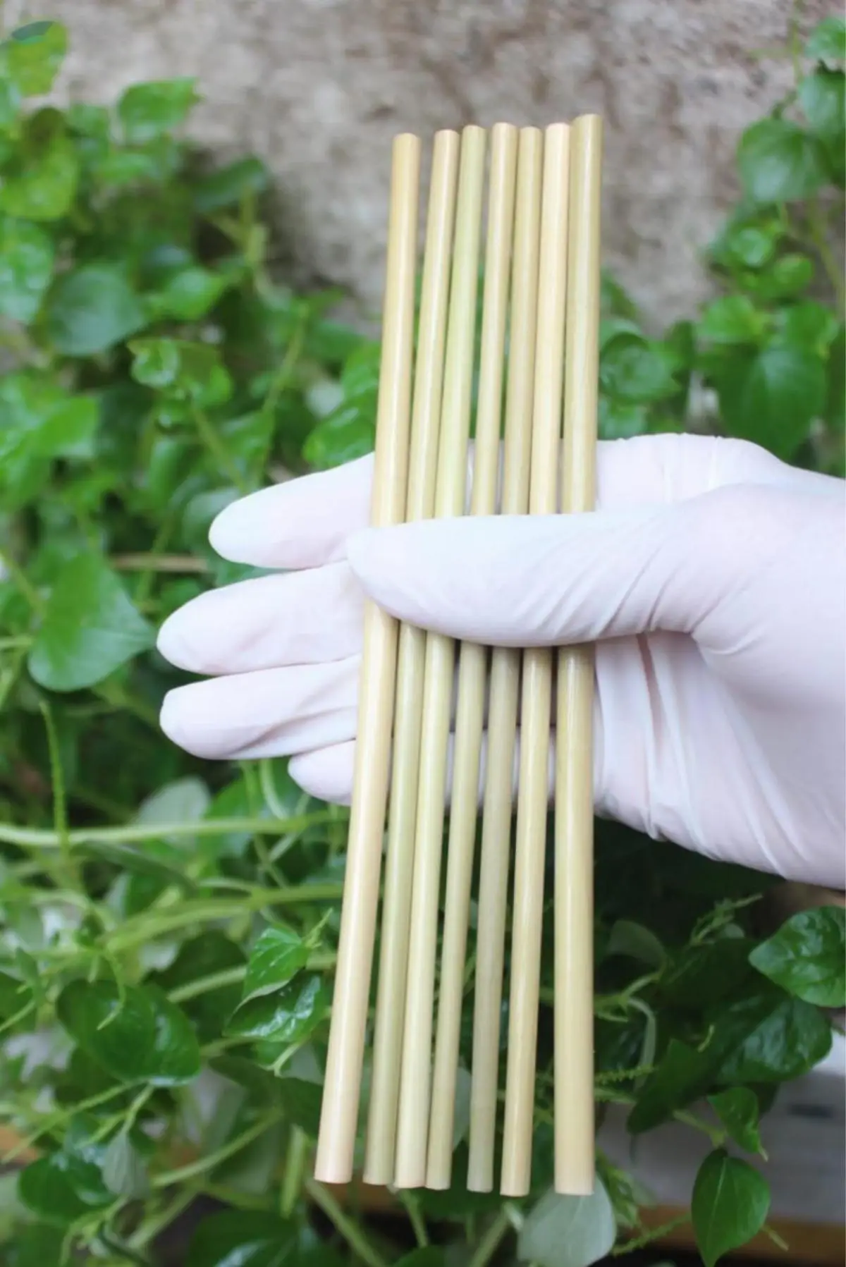 Grass Straw For Drinking
