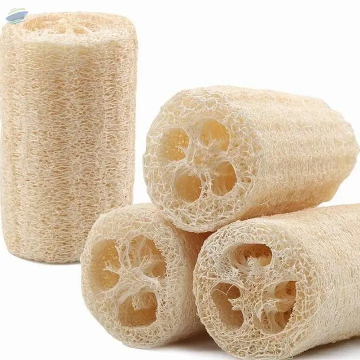 Loofah - Best Price From Vietnam