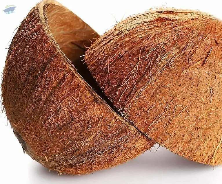 Coconut Shell For Charcoal - From Vietnam