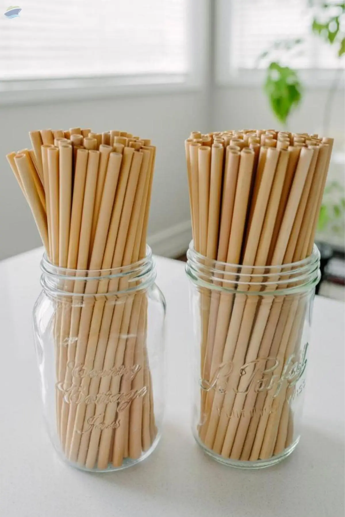 Bamboo Straw For Hotel, Bar