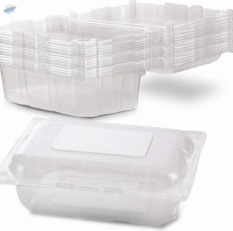 Rectangular Plastic Food Container