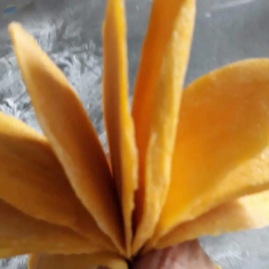 Dried Soft Mango Vietnam