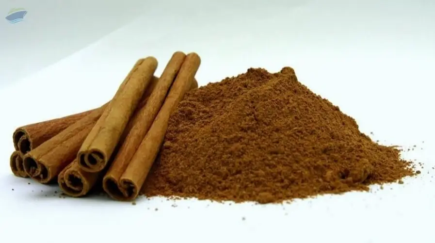 Cinnamon Powder