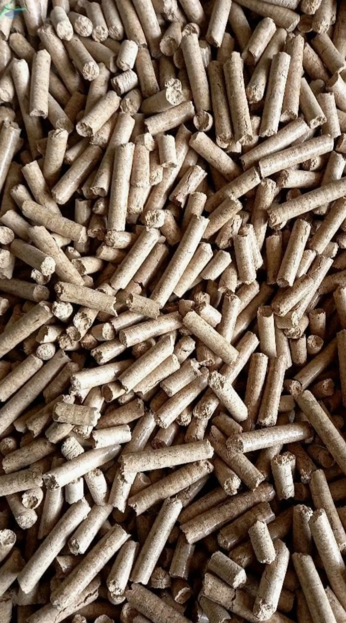 Rice Husk Pellet