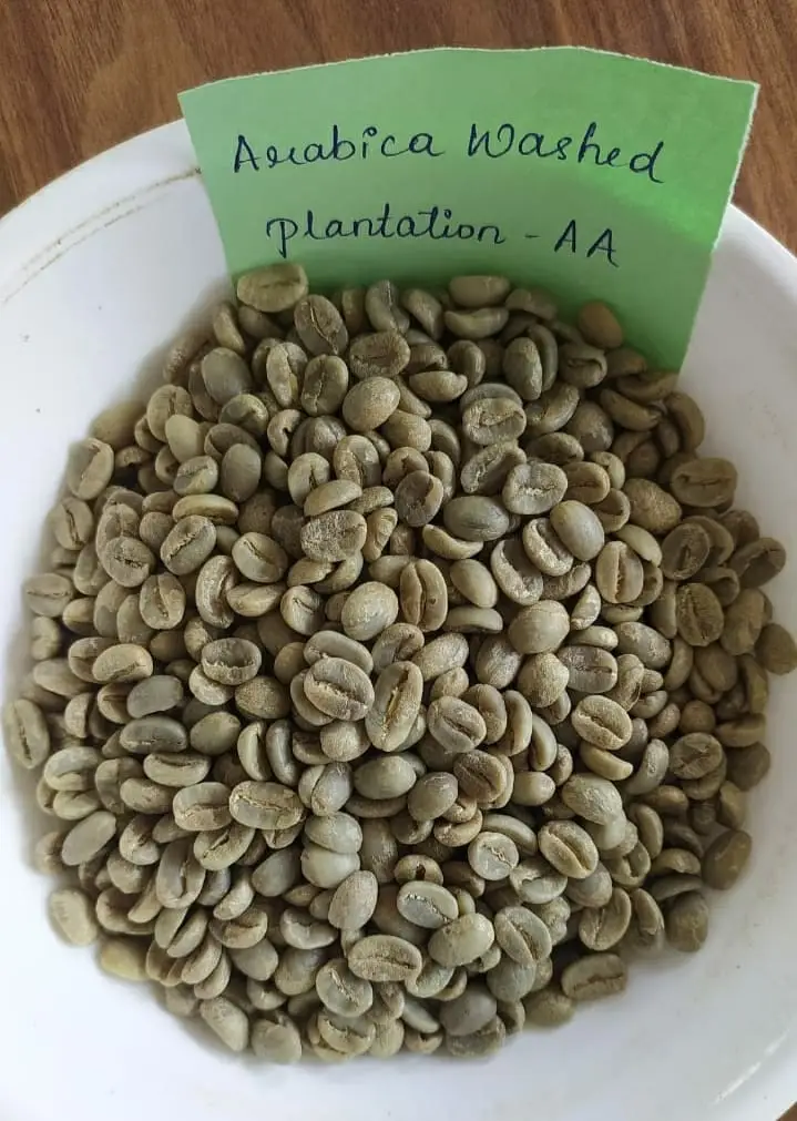 Arabica Washed  Plantation - AA