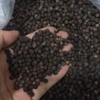 Black Pepper 550G/L, 600G/L