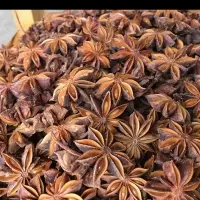 Star Aniseed/Autumn Star Aniseed