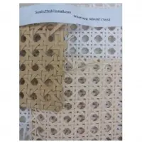 Plastic Webbing Cane/Poly Furniture