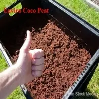 Cocopeat