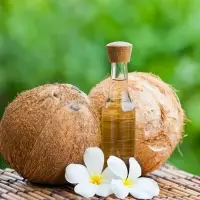 Organic Coconut Oil From Vietnam