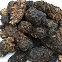 Dried Half Cut Noni by 99 Gold Data Processing Trading Company Limited