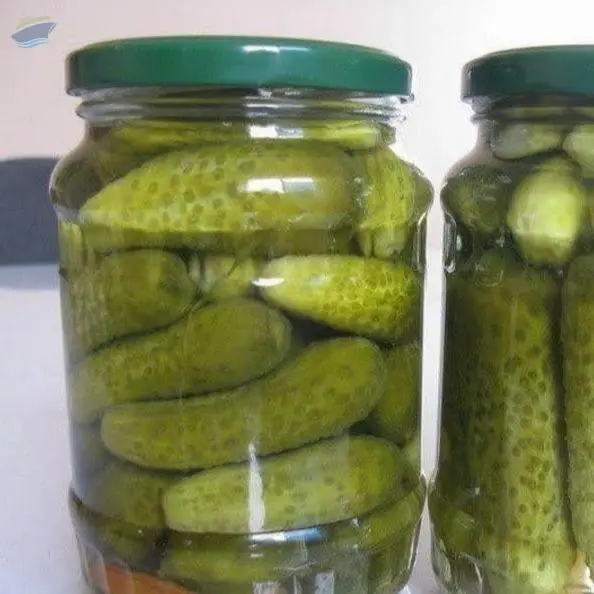 Pickled Gherkin in Vinegar
