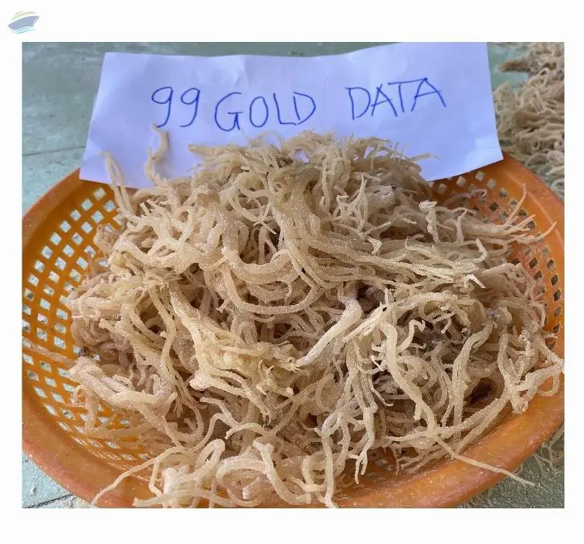 Dried Seamoss/dried Irish Moss/eucheuma Cottonii