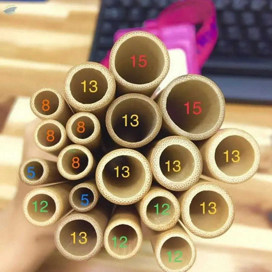 Bamboo Straw