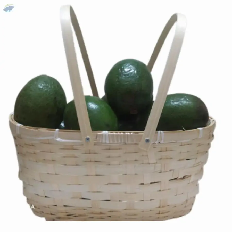 Camping Picnic Basket/Beach Holiday