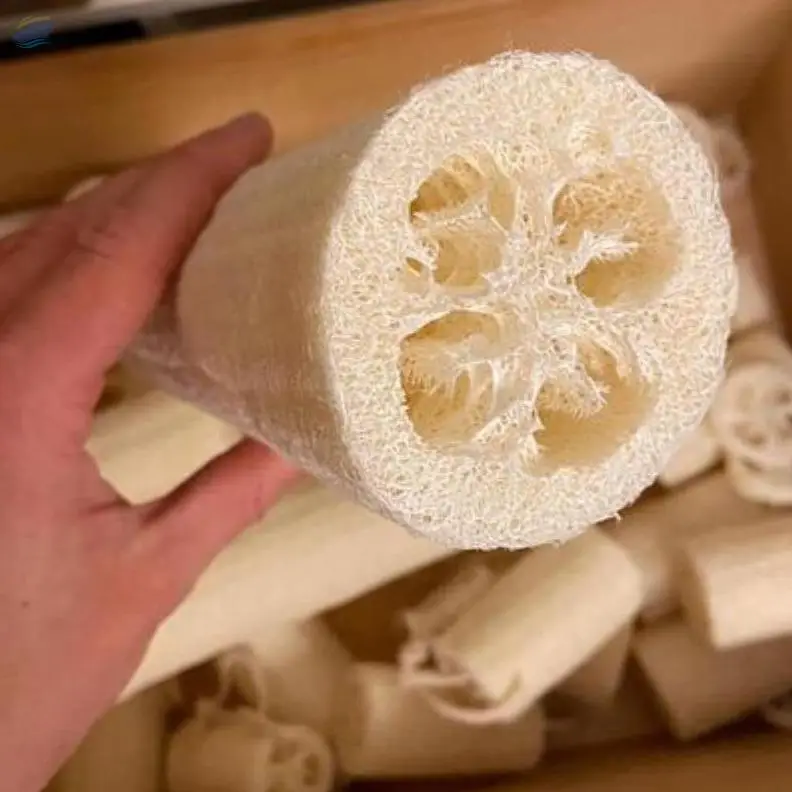 Dried Loofah