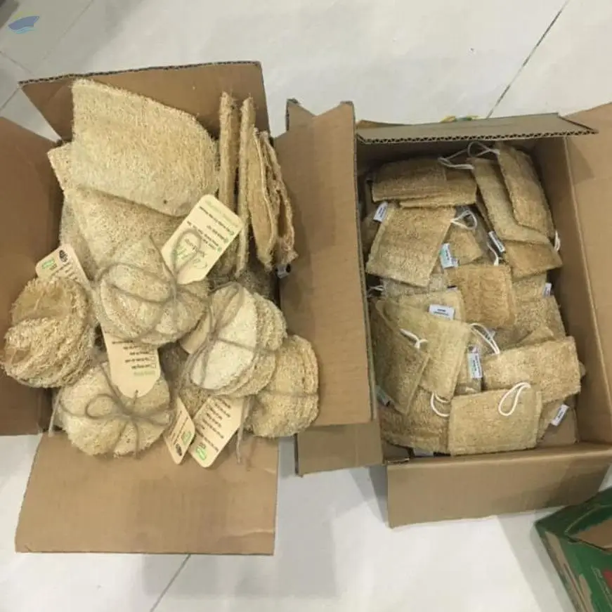 Dried Loofah Vietnam