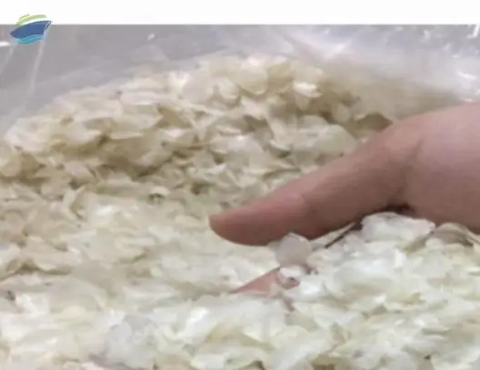 Dried Fish Scale For Collagen