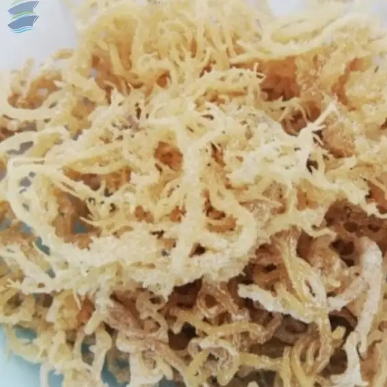 Wildcrafted Seeweed Natural Sea Moss