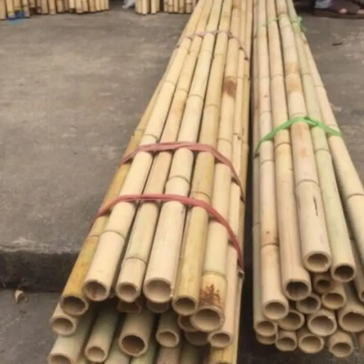 Bamboo Pole For Construction by 99 Gold Data Processing Trading Company Limited