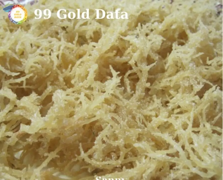 Sea Moss / Irish Moss /  Red Seaweed