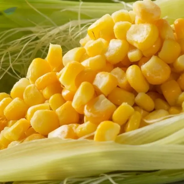 Frozen Sweet Corn by 99 Gold Data Processing Trading Company Limited