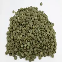 Vietnam Green Coffee Bean
